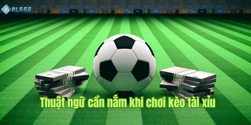 Kinh nghiệm đặt cược được game thủ dày dặn kinh nghiệm.