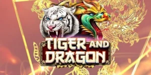 rồng hổ bl555